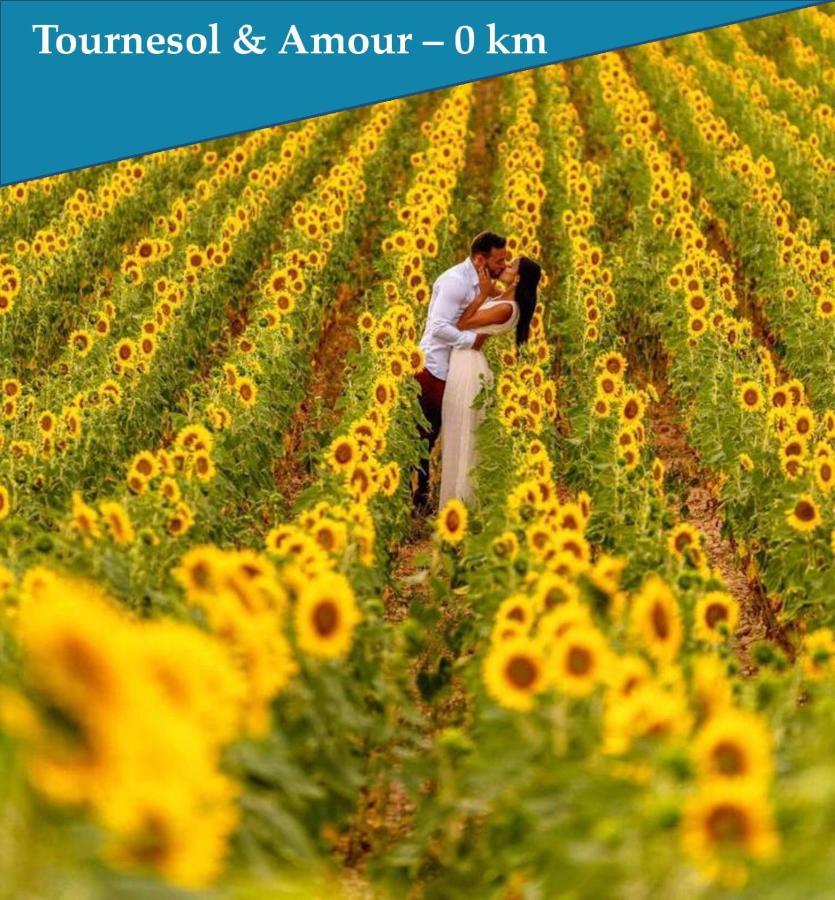 Les Bastidons De L'Isle - Le Seguret - 3 Etoiles公寓 外观 照片